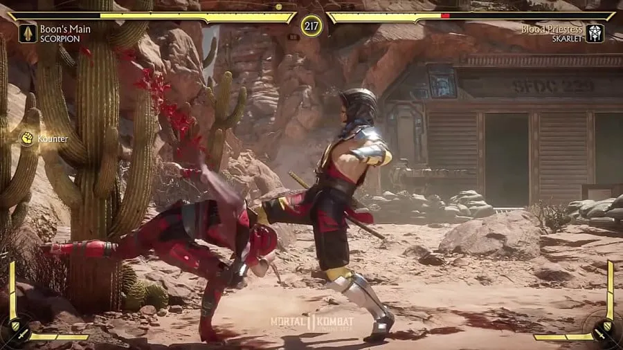 Mortal Kombat 11 on PC